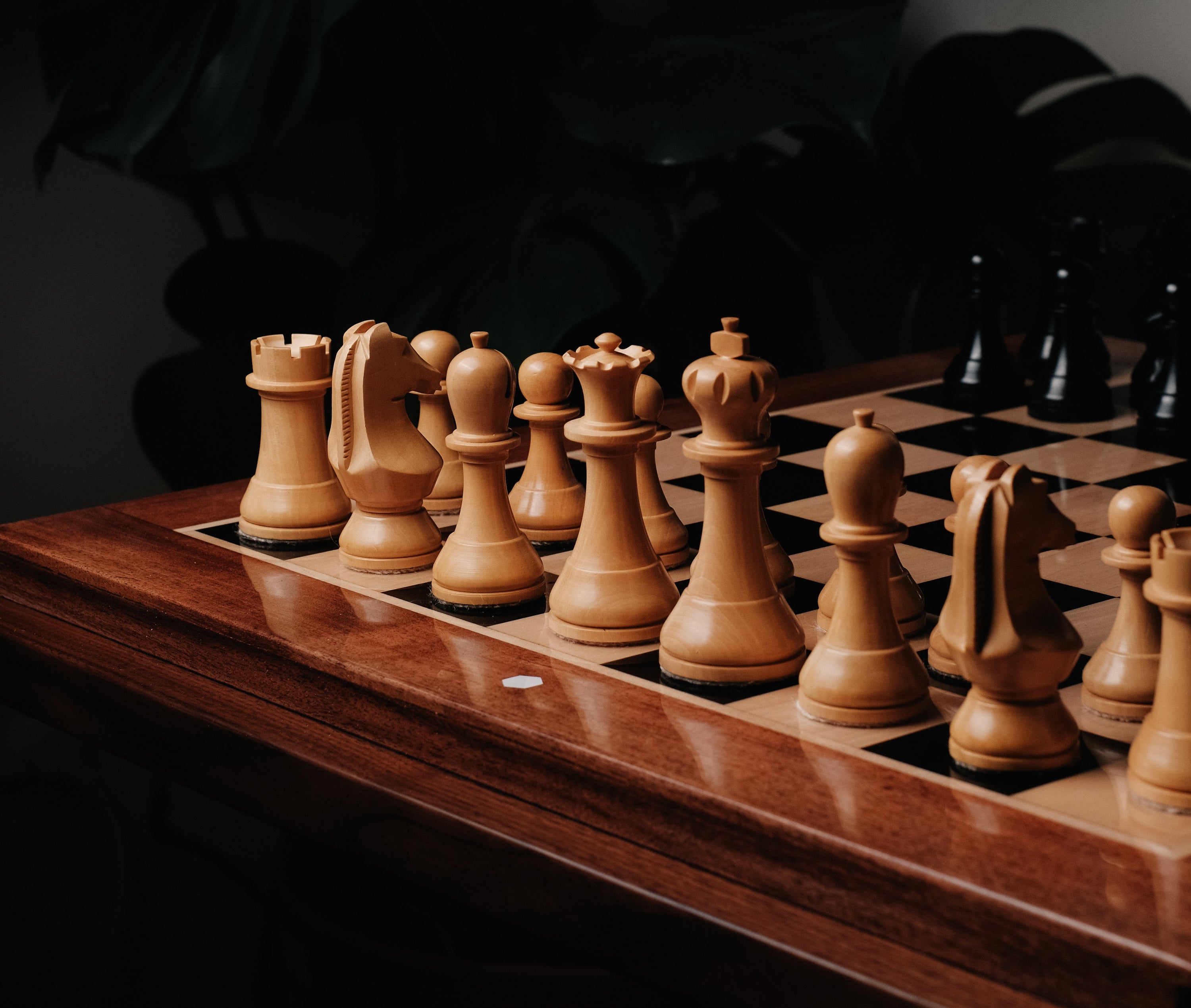 Top Chess Openings for White