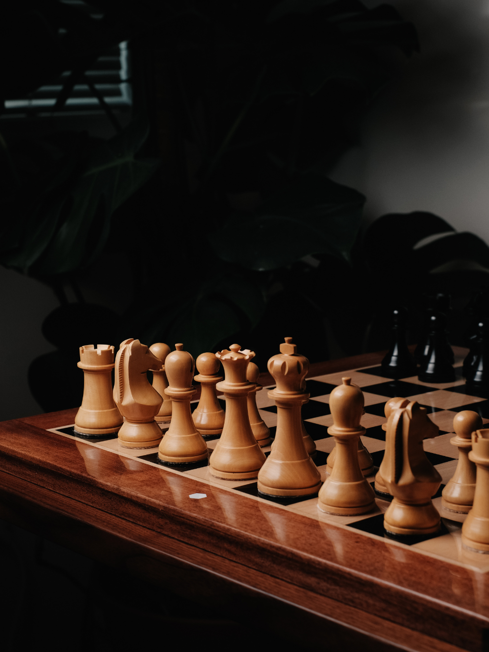 Official World Chess Premium Set