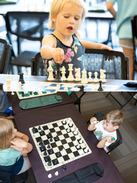 The World's Greatest Chess Set® - Silicone Chess Board