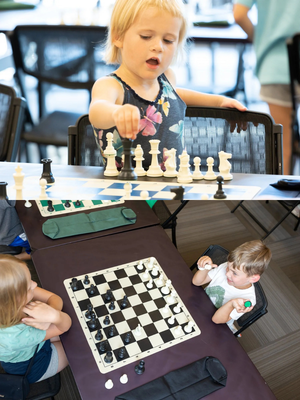 The World's Greatest Chess Set® - Silicone Chess Board - image 1