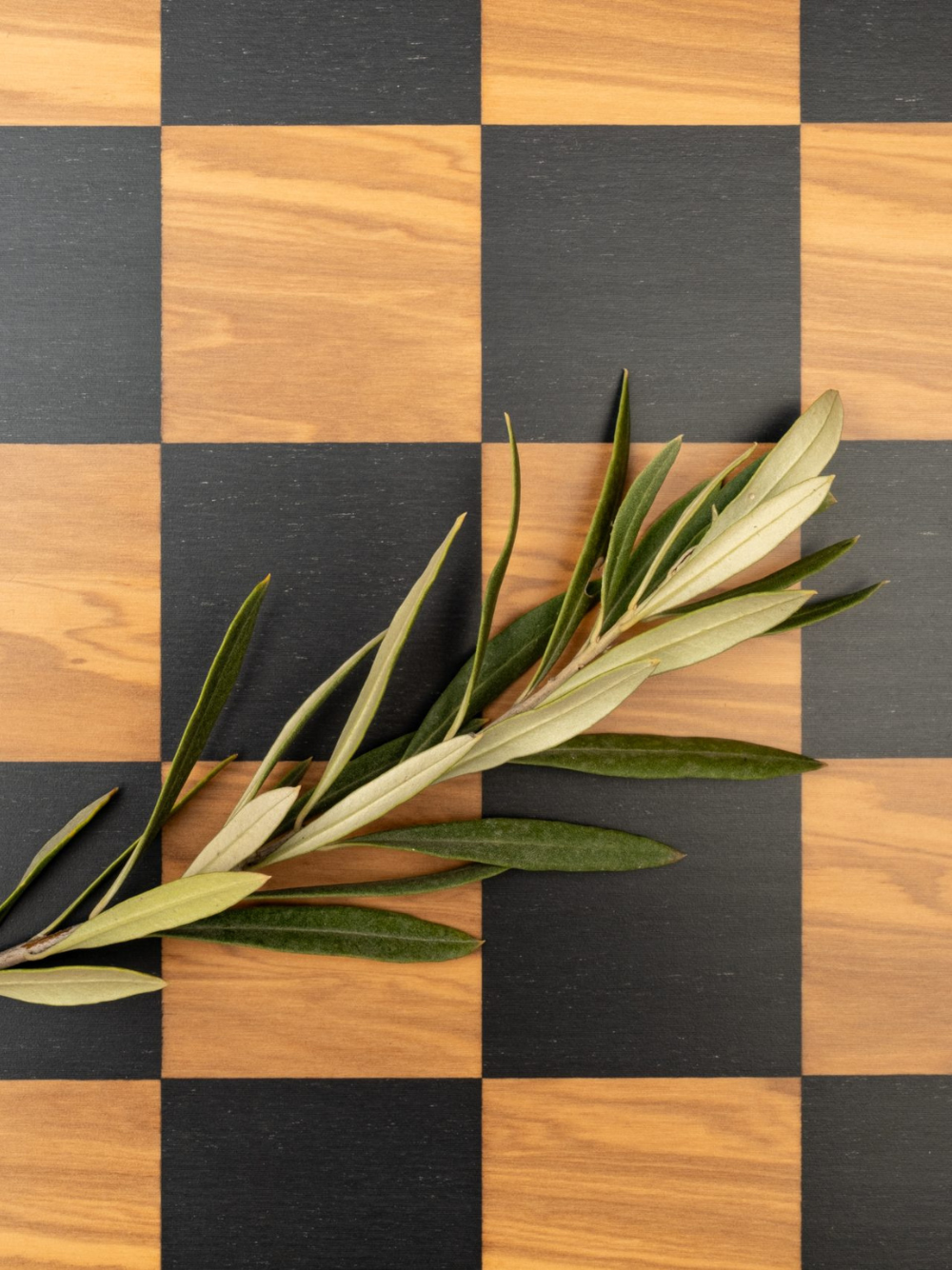 ‘Olivewood’ Chessboard with wide Olive frame