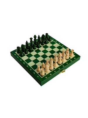 Mini jeu d'échecs scolaire vert