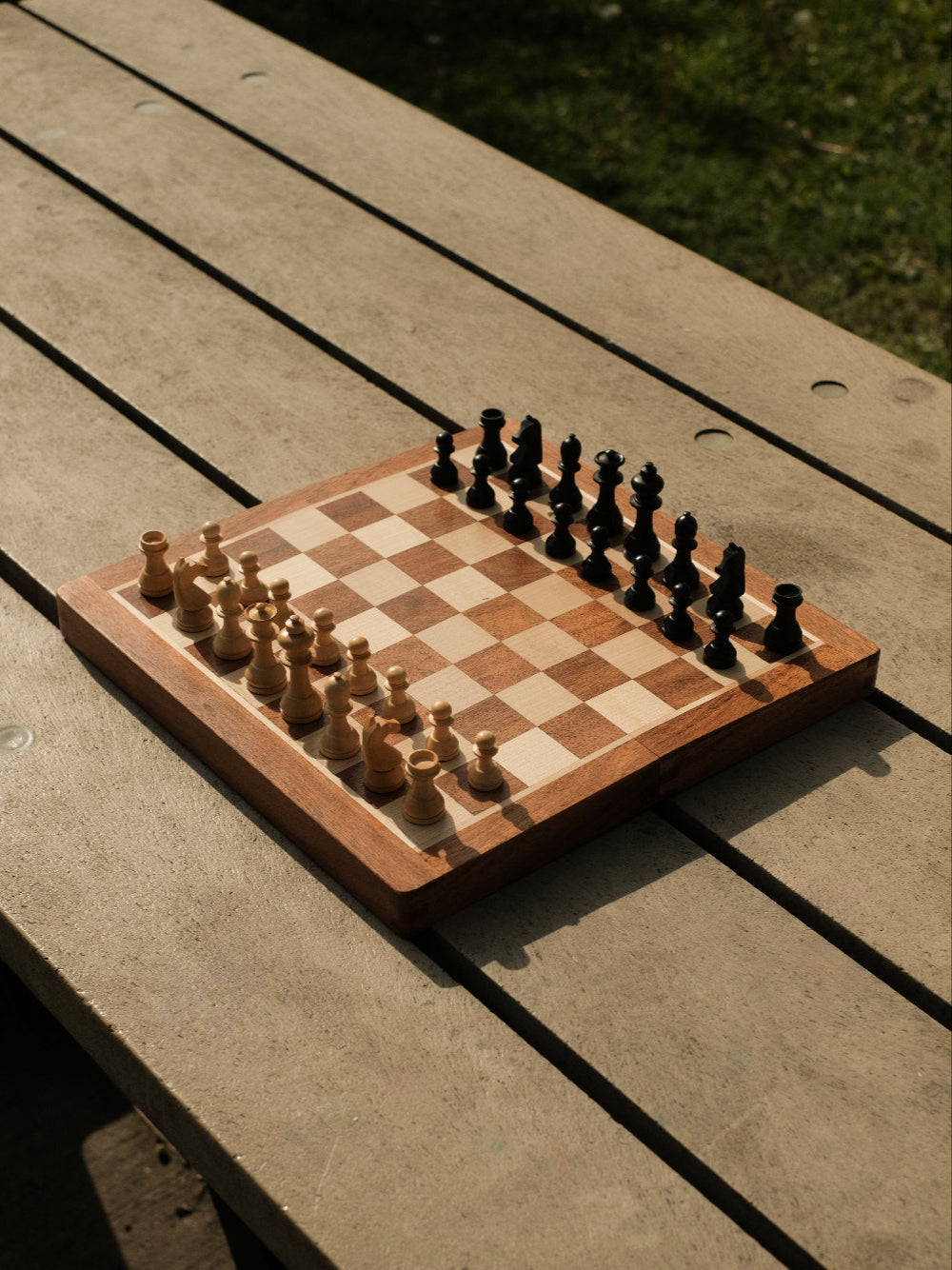 Set de Ajedrez de Viaje Gukesh D